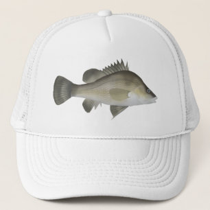 Gorra De Camionero Macqurie Perch