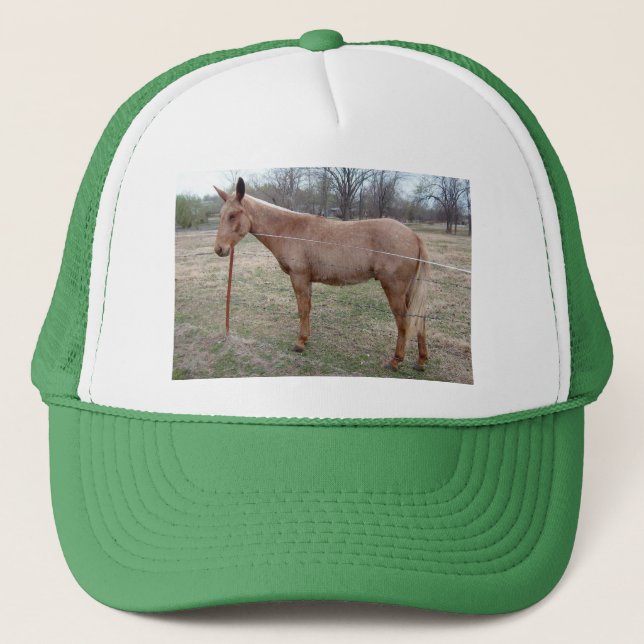 Gorra De Camionero ¡Magnífica Mule! (Anverso)