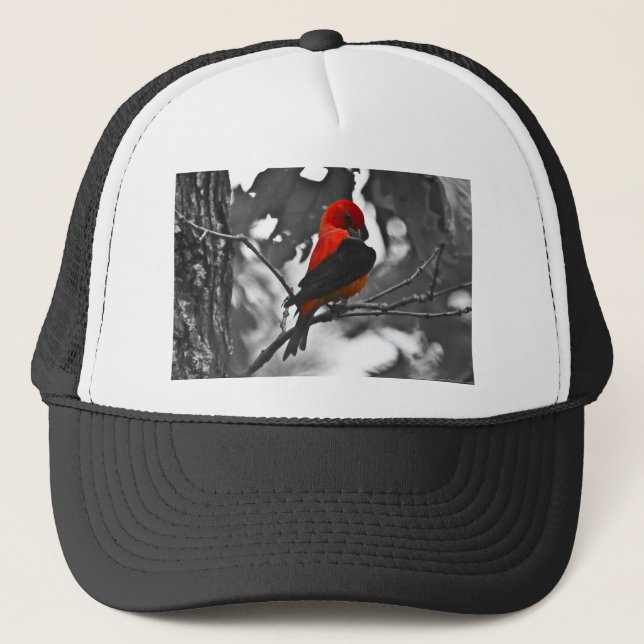 Gorra De Camionero Male Scarlet Tanager (Anverso)