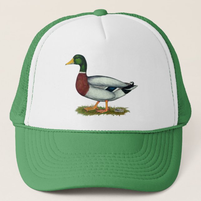 Gorra De Camionero Mallard Duck Drake (Anverso)