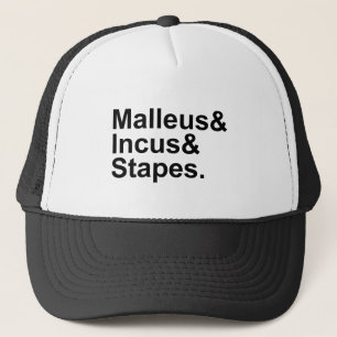 Gorra De Camionero Malleus Incus Stapes Tres huesos del oído medio