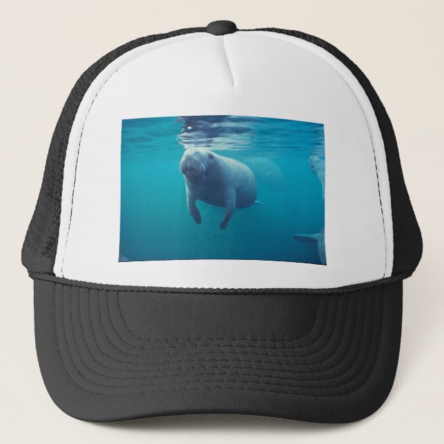 Gorra De Camionero Manatee de la Florida (Anverso)