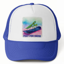 Mantis de oración en snowboard rezando por arte de