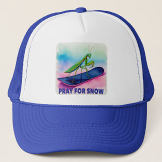 Gorra De Camionero Mantis religiosa snowboard rezando por nieve arte