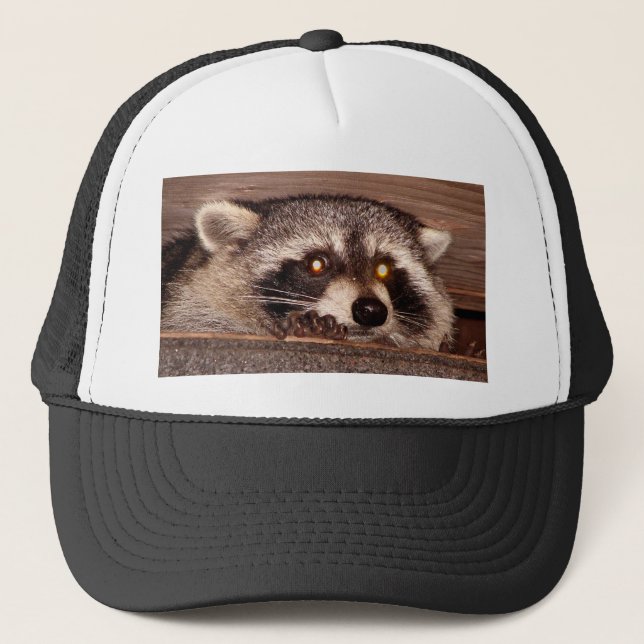 Gorra De Camionero Mapache (Anverso)