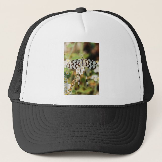 Gorra De Camionero Mariposa Fantail Fantail White and Chocolate Brown (Anverso)