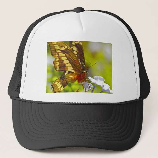Gorra De Camionero Mariposa marrón y roja cubierta de polen (Anverso)
