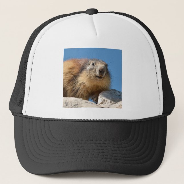 Gorra De Camionero Marmota alpina en roca (Anverso)