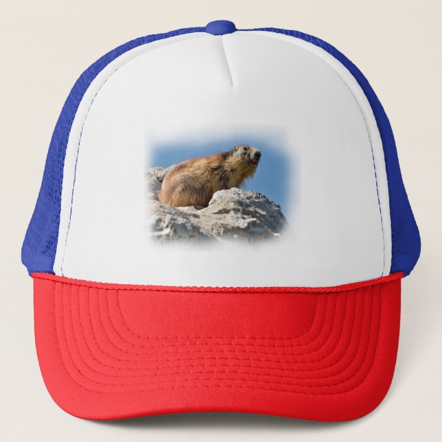 Gorra De Camionero Marmota alpina en roca (Anverso)
