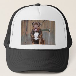 Gorra De Camionero Mastiff de Francia