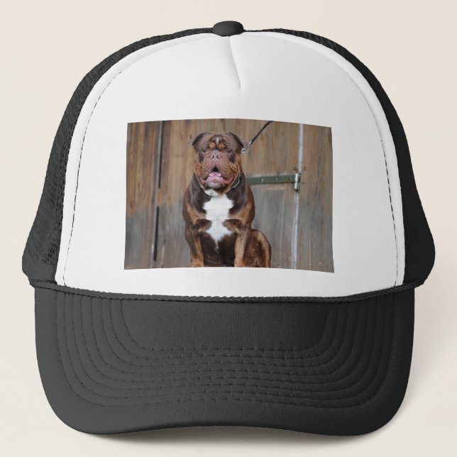 Gorra De Camionero Mastiff de Francia (Anverso)