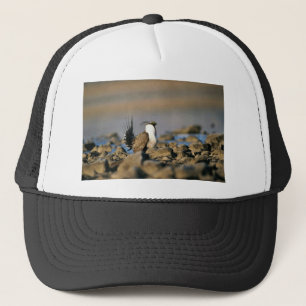 Gorra De Camionero Mayor urogallo sabio