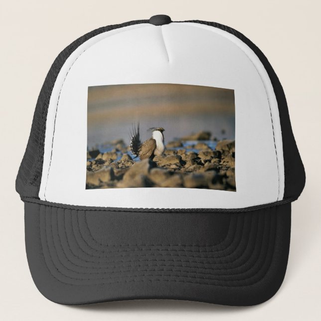 Gorra De Camionero Mayor urogallo sabio (Anverso)