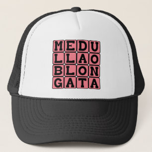 Gorra De Camionero Médula Oblonga, Tronco del Encéfalo Inferior