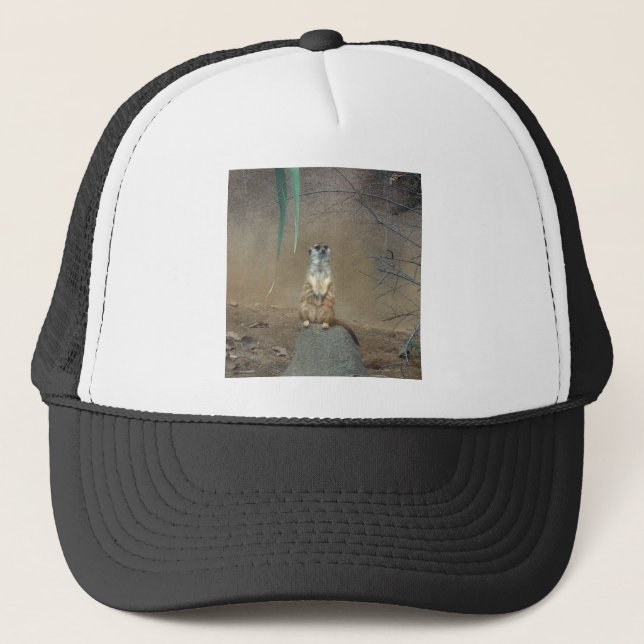 Gorra De Camionero Meerkat (Anverso)
