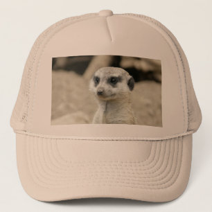Gorra De Camionero Meerkat