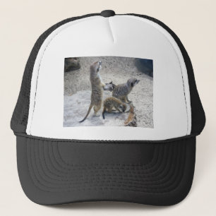 Gorra De Camionero Meerkat