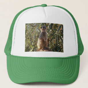 Gorra De Camionero Meerkat Sobre El Deber De La Guardia,