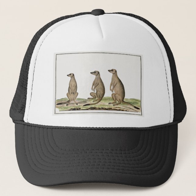 Gorra De Camionero Meerkats (Anverso)
