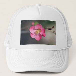 Gorra De Camionero Membrillo Florecido Rosa Perfecto