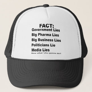 Gorra De Camionero Mentian A Los Políticos De Negocios Del Gobierno P