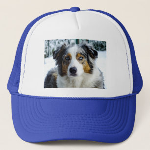 Gorra De Camionero Merle azul Shepherd norteamericano en miniatura