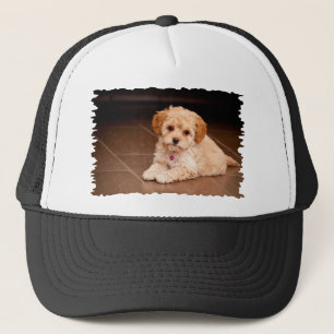 Gorra De Camionero Mezcla del caniche del bebé o perro de perrito