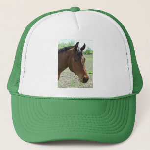 Gorra De Camionero Mi amigo, el caballo