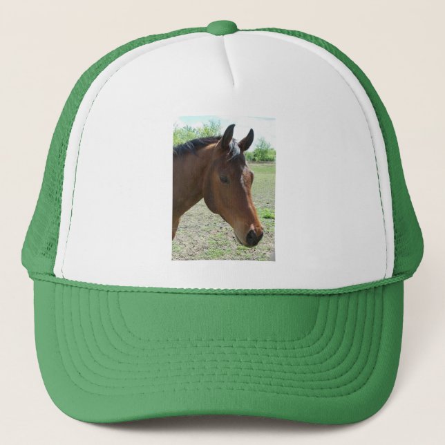 Gorra De Camionero Mi amigo, el caballo (Anverso)