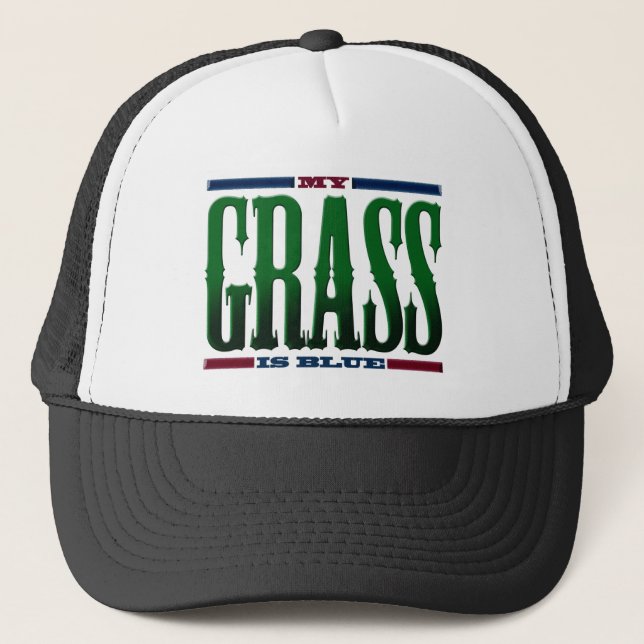 Gorra De Camionero "Mi hierba es azul " (Anverso)