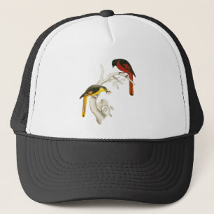 Gorra De Camionero Minivet Cortocircuito-cargado en cuenta