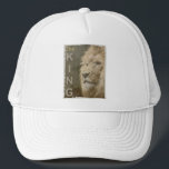 Gorra De Camionero Moderna Elegante Pop Art León Cabeza La Plantilla<br><div class="desc">Moderno Y Elegante Locutor De Arte Pop Cabeza El Sombrero De Camionero Blanco De La Plantilla King.</div>