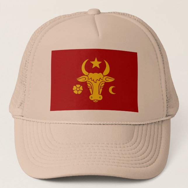 Gorra De Camionero Moldavia, el Moldavia (Anverso)