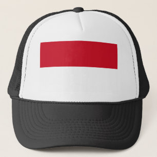 Gorra De Camionero Monaco Flag