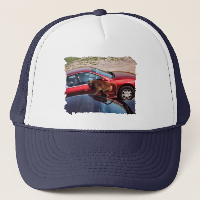 Gorra De Camionero Monkey Business (Anverso)