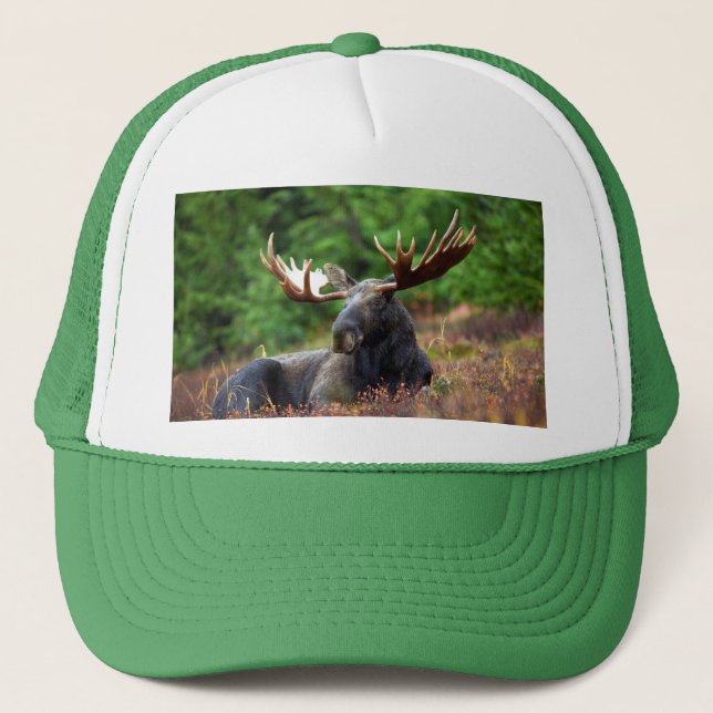 Gorra De Camionero Moose (Anverso)