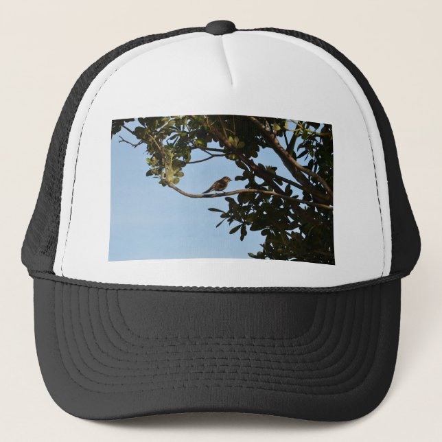 Gorra De Camionero Mosquitero común (Anverso)