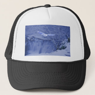 Gorra De Camionero Moulton baja alcohol del búho de Washington -