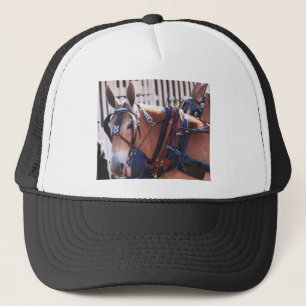 Gorra De Camionero mulas y burros 026