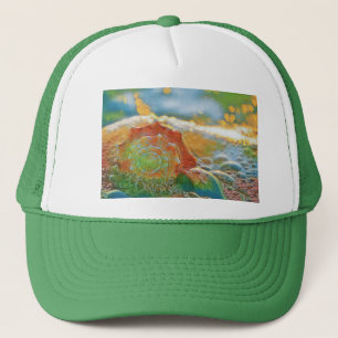 Gorra De Camionero Naranja acuático moderno y T-Shir de conchas verde
