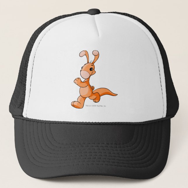 Gorra De Camionero Naranja de Blumaroo (Anverso)