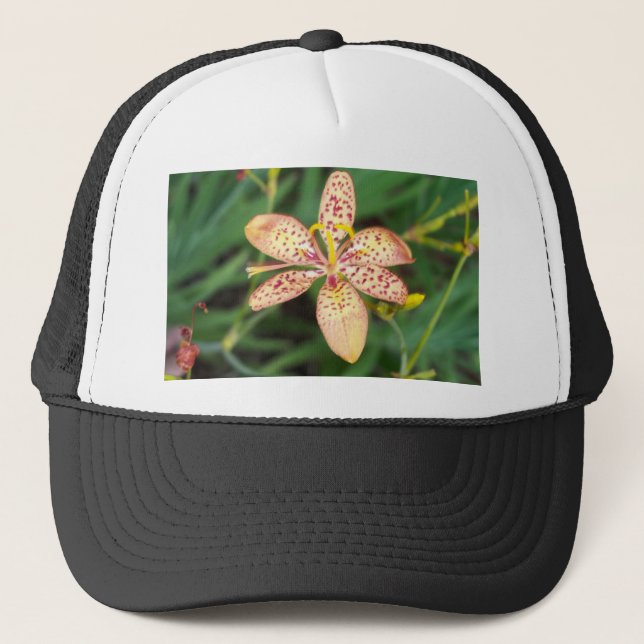 Gorra De Camionero Naranja pálido manchado lirio de Blackberry (Anverso)