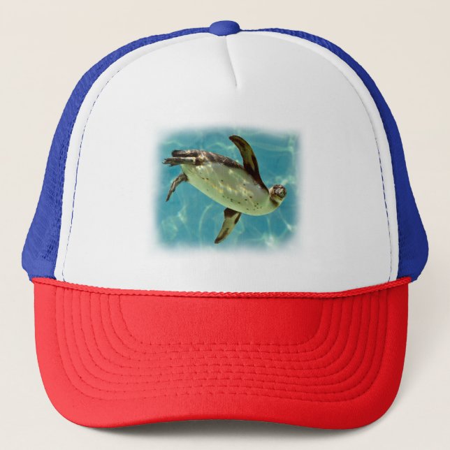 Gorra De Camionero Natación de pingüino Humboldt (Anverso)