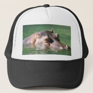 Gorra De Camionero Natación del Hippopotamus en la superficie