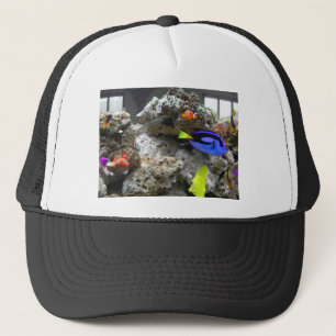 Gorra De Camionero Nemo con su cuadrilla