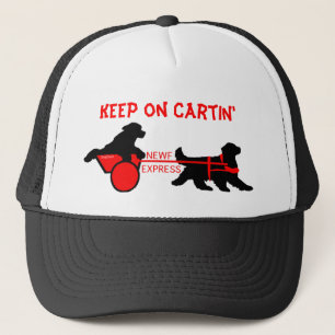 Gorra De Camionero newf express copy, siga en Cartin'