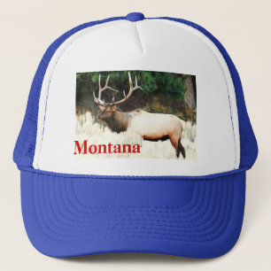 Gorra De Camionero Ningunos # 14, CCP-No406, casquillo de los
