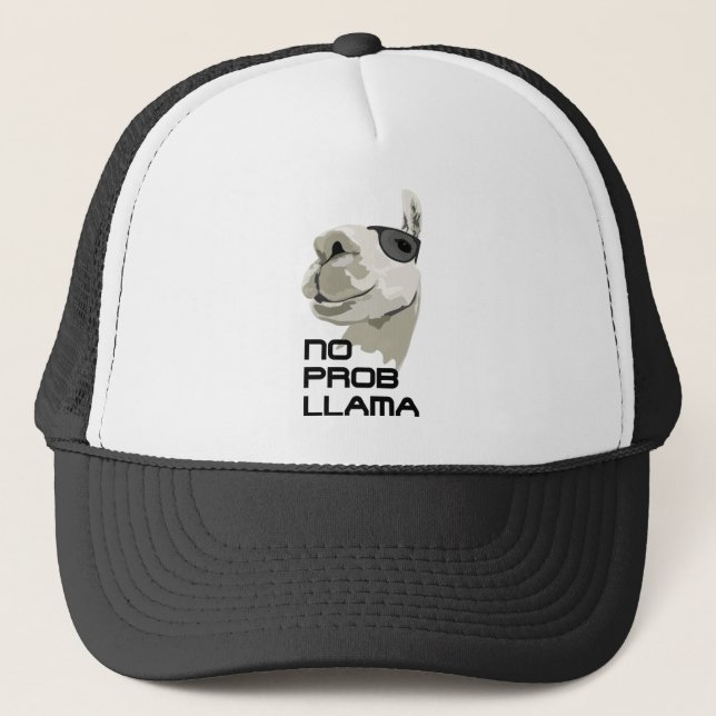 Gorra De Camionero No ProbLlama (Anverso)