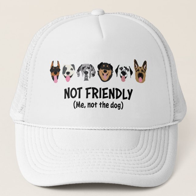 Gorra De Camionero No soy amigable, no es gracioso. (Anverso)