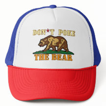 ¡No te metas el oso, California Vote!